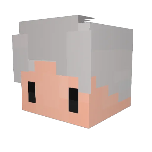 cawsking555 Minecraft avatar head, 3D render
