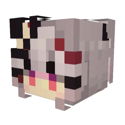 caxadisacerto Minecraft avatar head, 3D render
