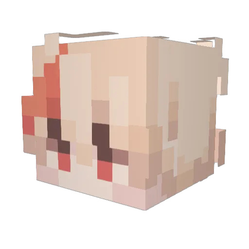 cayde40 Minecraft avatar head, 3D render