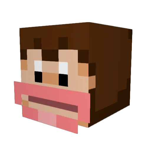 cayden100 Minecraft avatar head, 3D render