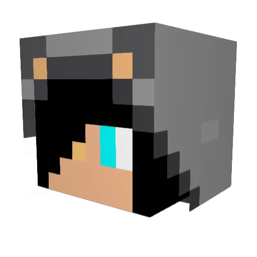 cayden1218 Minecraft avatar head, 3D render