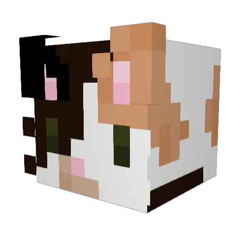 cayetananana Minecraft avatar head, 3D render
