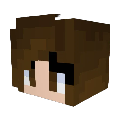 cayladreams Minecraft avatar head, 3D render