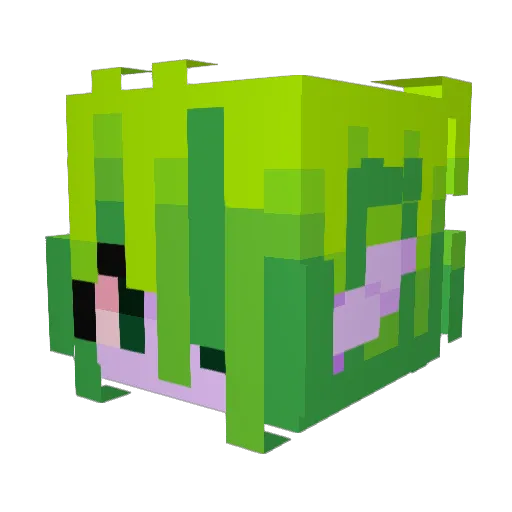 caynchi Minecraft avatar head, 3D render