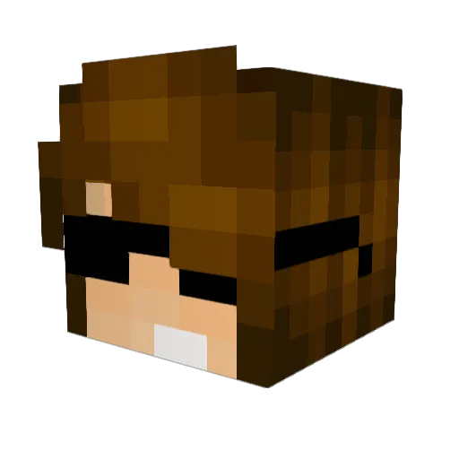 cbeemer919 Minecraft avatar head, 3D render