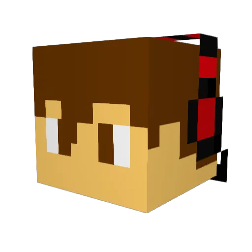 cbnb Minecraft avatar head, 3D render