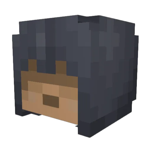 cboee Minecraft avatar head, 3D render