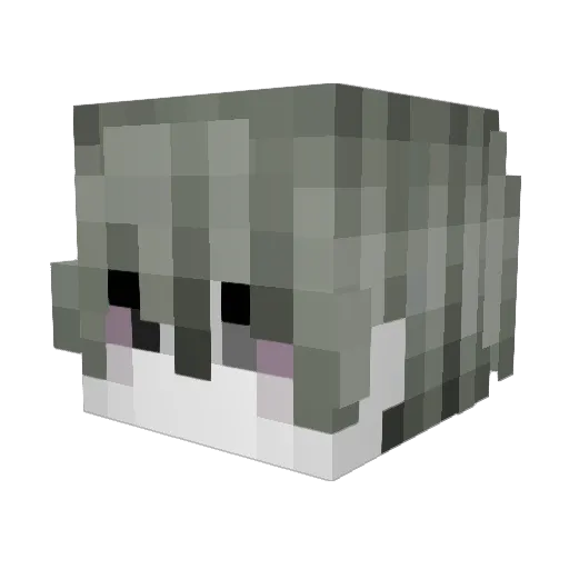 cbrf2 Minecraft avatar head, 3D render