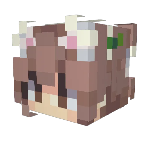 ccamiiv Minecraft avatar head, 3D render