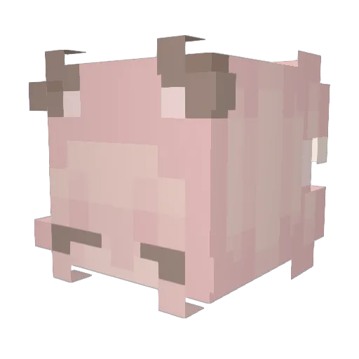 ccateaa Minecraft avatar head, 3D render