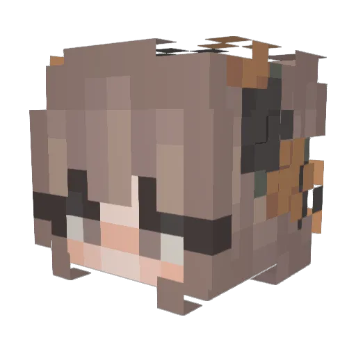 ccauliflower Minecraft avatar head, 3D render
