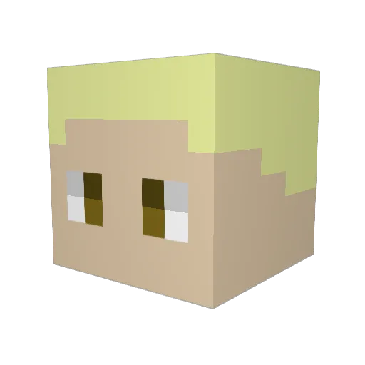 ccbandit01 Minecraft avatar head, 3D render