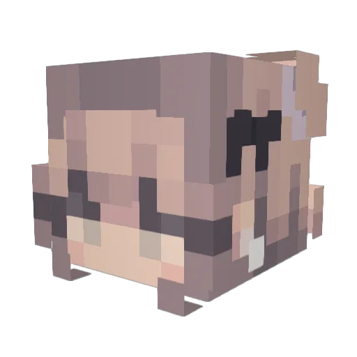 ccharmingttv Minecraft avatar head, 3D render