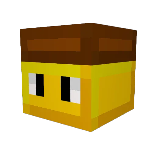 cchristiaan Minecraft avatar head, 3D render