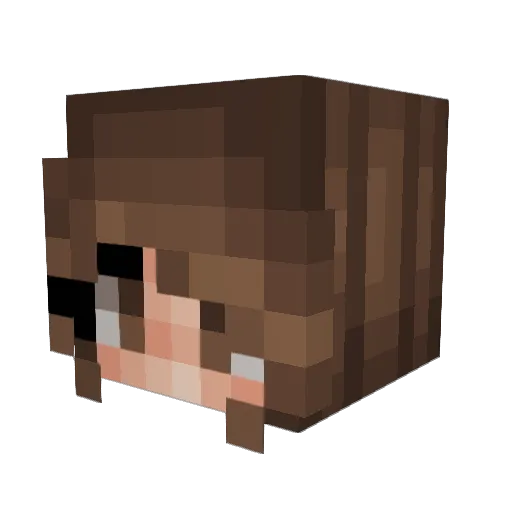 cci4ra Minecraft avatar head, 3D render