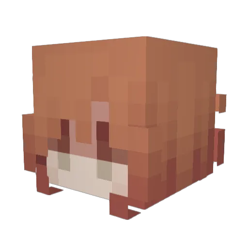 cclaretamonet Minecraft avatar head, 3D render