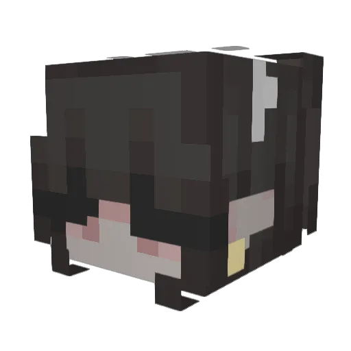 ccndy Minecraft avatar head, 3D render