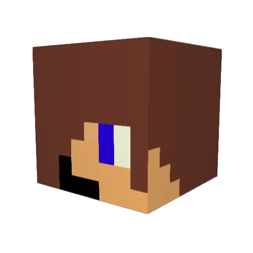 ccnt1234 Minecraft avatar head, 3D render