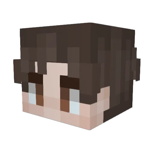 ccoda Minecraft avatar head, 3D render