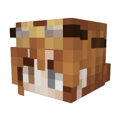 ccody1322 Minecraft avatar head, 3D render