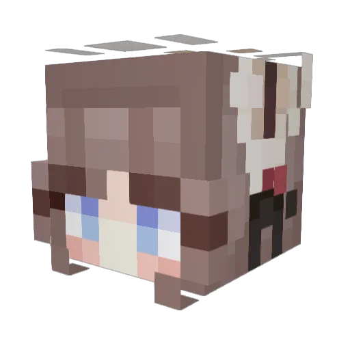 ccoolliinn Minecraft avatar head, 3D render