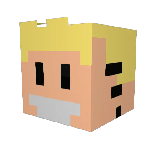 ccouragancc Minecraft avatar head, 3D render