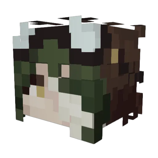ccoyc Minecraft avatar head, 3D render