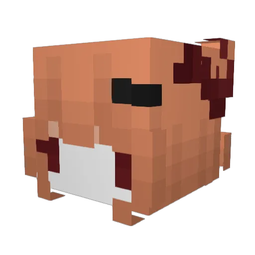 ccrypticddoll Minecraft avatar head, 3D render