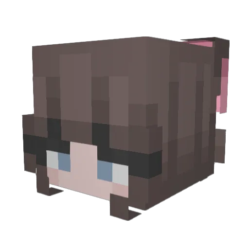 ccs2003 Minecraft avatar head, 3D render