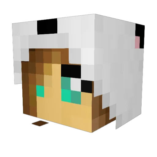 ccsurfer12 Minecraft avatar head, 3D render