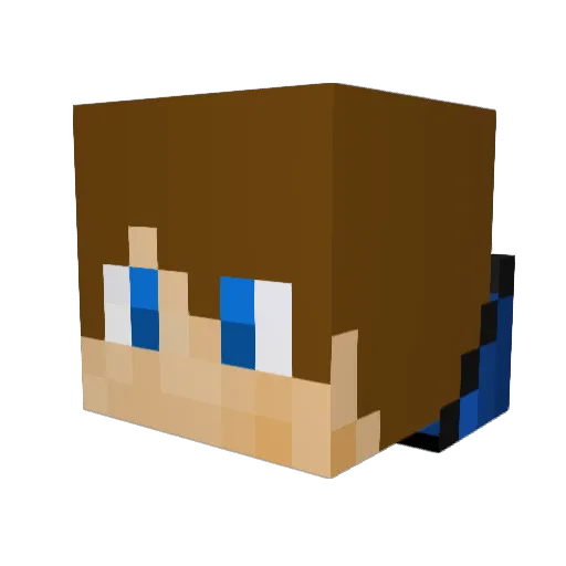 ccwild Minecraft avatar head, 3D render