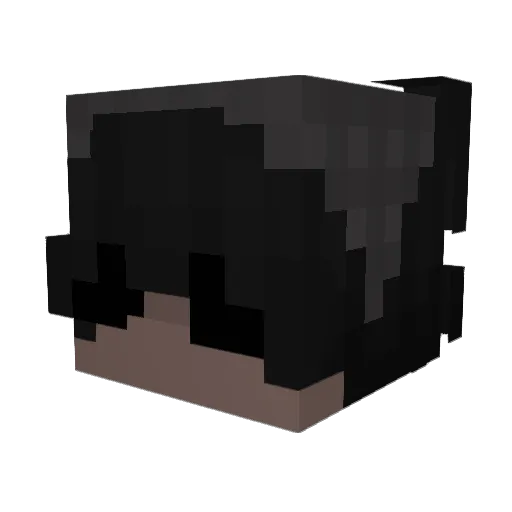 ccytruss Minecraft avatar head, 3D render
