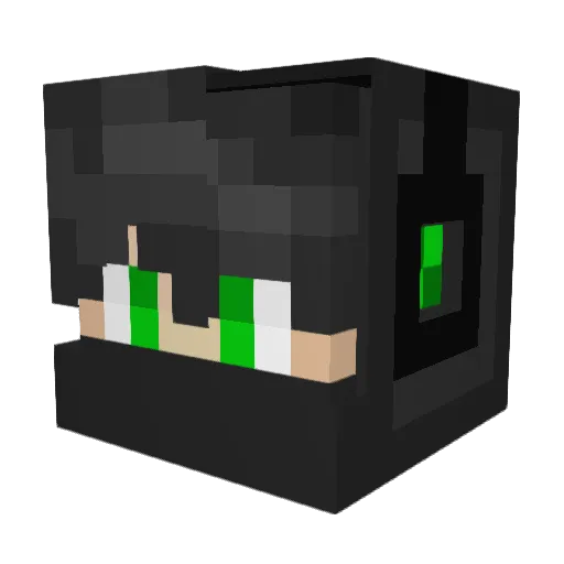 cd_fazebauty2009 Minecraft avatar head, 3D render