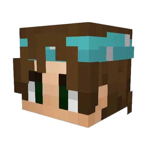 cdrsalmon Minecraft avatar head, 3D render