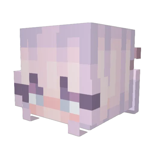 cdskittle Minecraft avatar head, 3D render