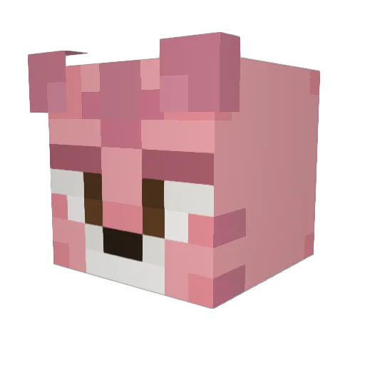 ce1tig Minecraft avatar head, 3D render