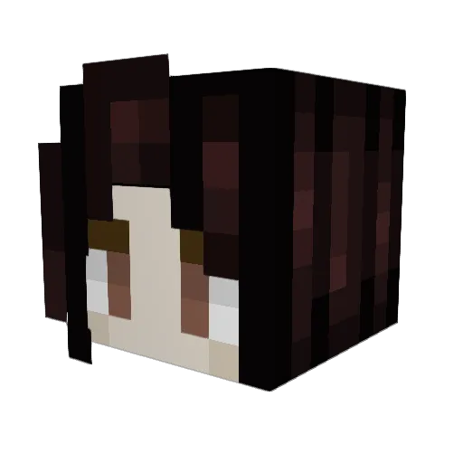 ceAT6am Minecraft avatar head, 3D render