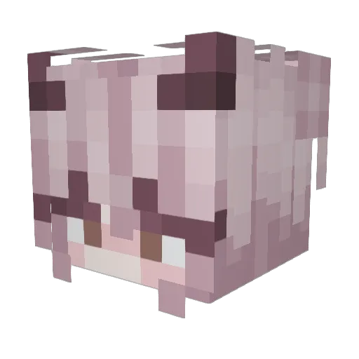 ceZca Minecraft avatar head, 3D render