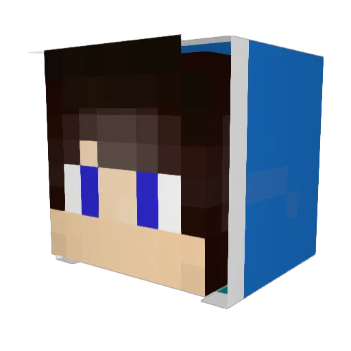 ceadeus1111 Minecraft avatar head, 3D render