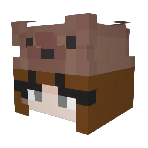 cece_pizza Minecraft avatar head, 3D render