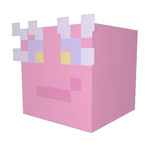 cecettuccine Minecraft avatar head, 3D render