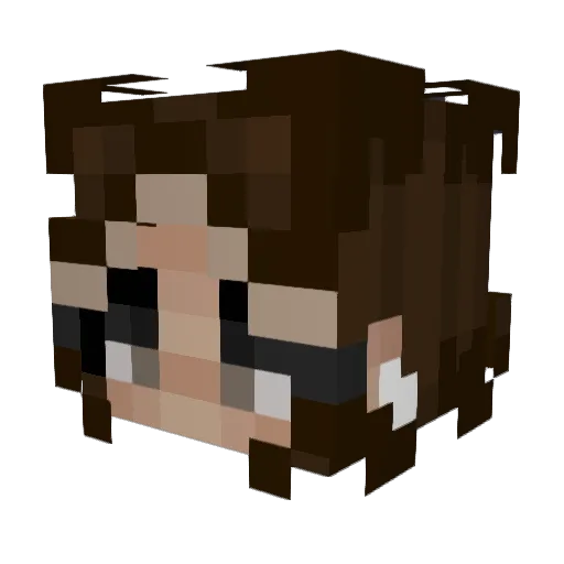 cecfelds Minecraft avatar head, 3D render