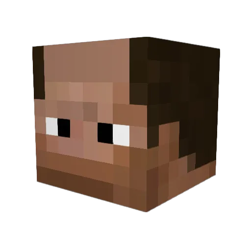 cecicasacmg Minecraft avatar head, 3D render