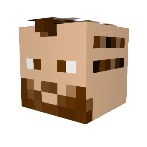 cedcool153 Minecraft avatar head, 3D render