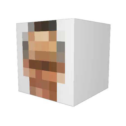cedere Minecraft avatar head, 3D render