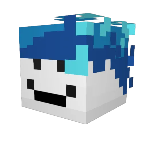 cedrin356 Minecraft avatar head, 3D render