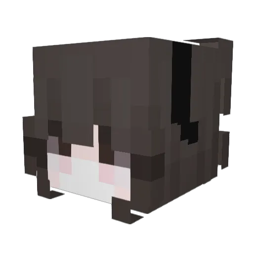 ceev Minecraft avatar head, 3D render