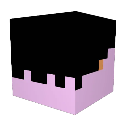 ceh1216 Minecraft avatar head, 3D render