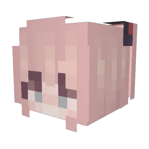 cejota Minecraft avatar head, 3D render