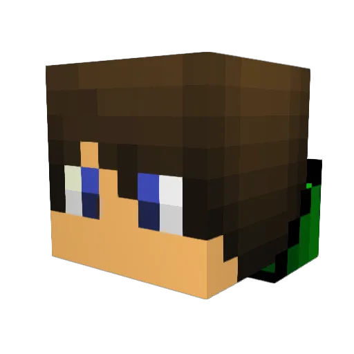 celery666 Minecraft avatar head, 3D render